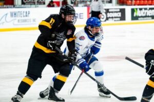 Big third period, two goals from Fournier help Hawks silence Cubs
